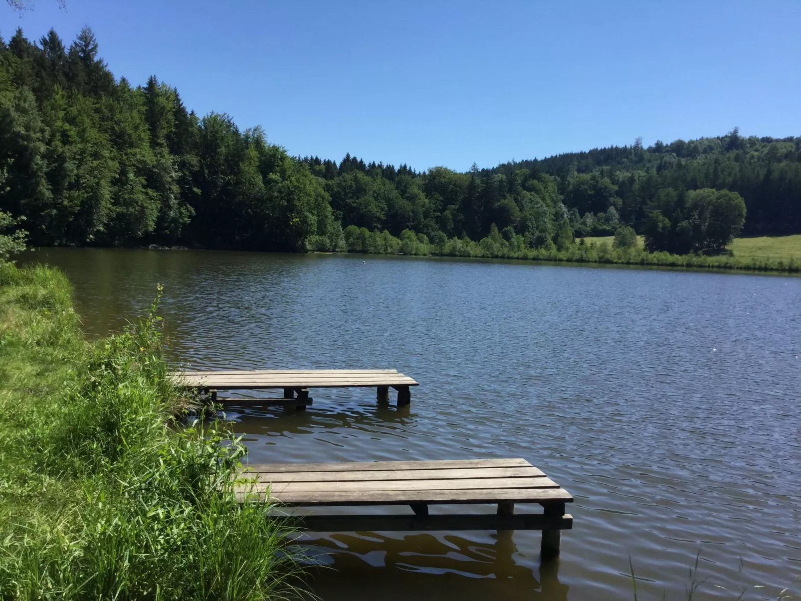 Mit Panoramablick-Inside