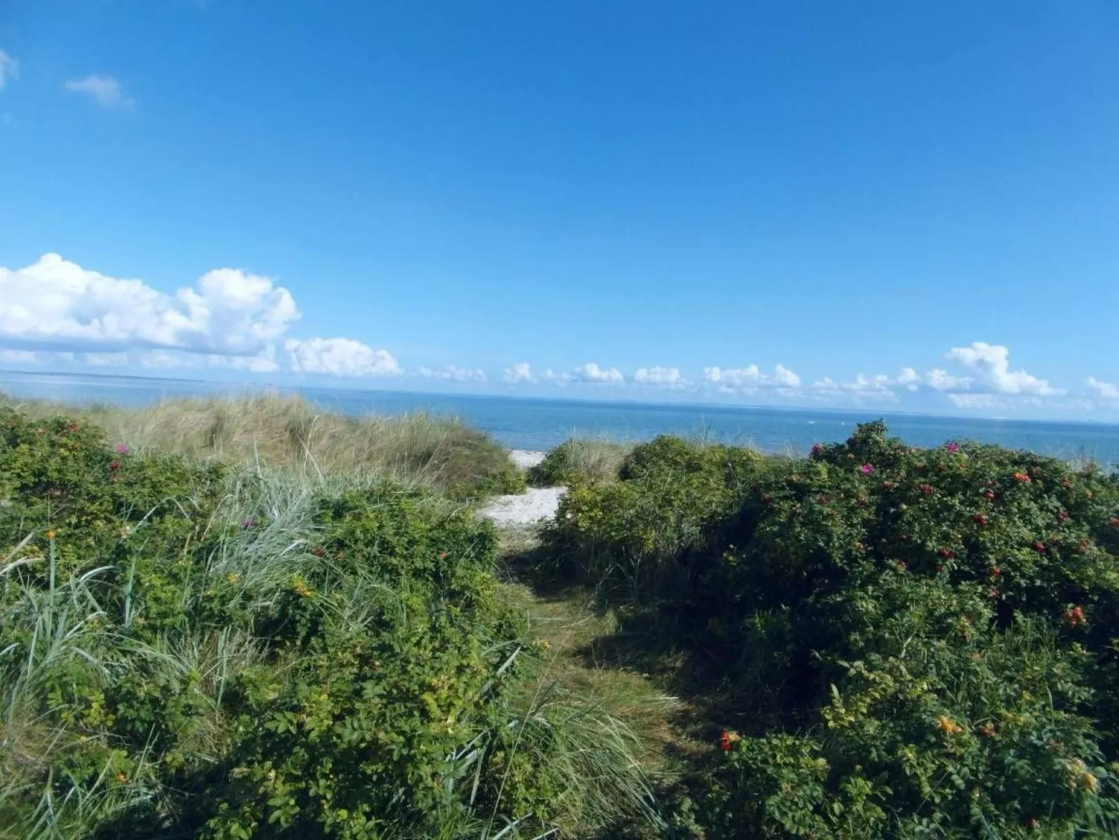 Urlaub am Meer im Ferienhaus mit Sauna-Drinnen