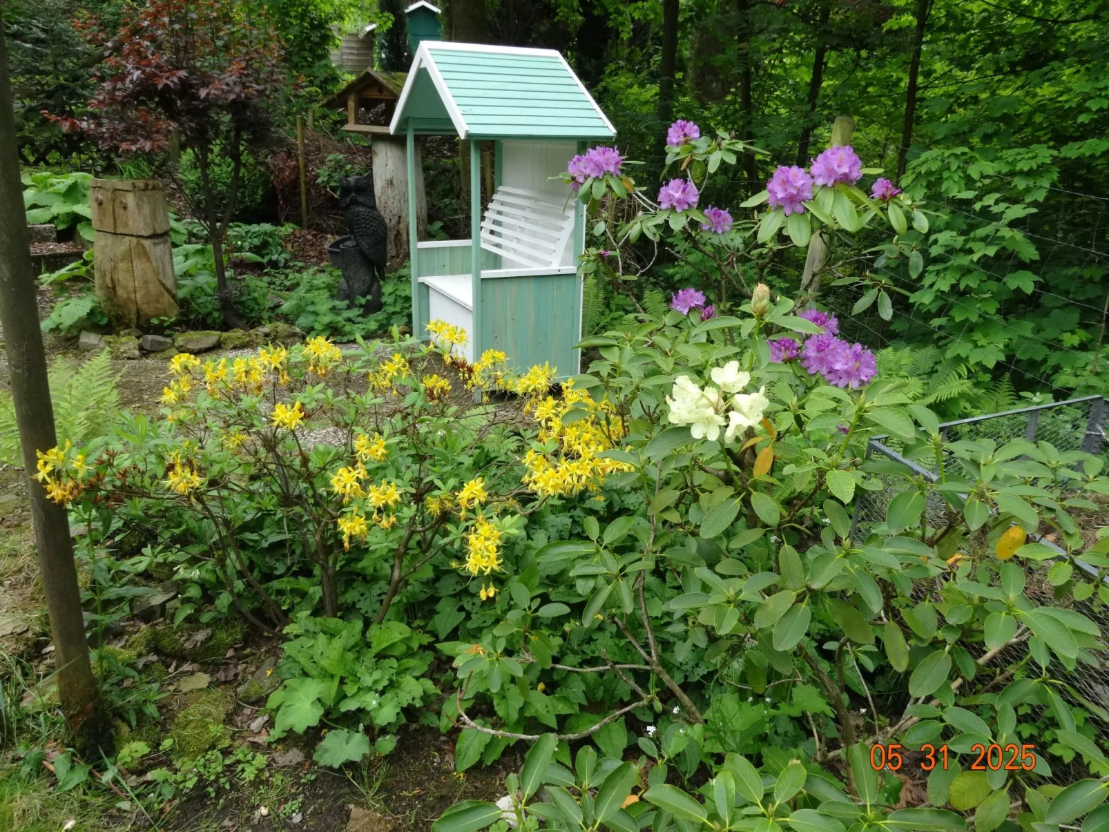 Harz-Haus-Bruns-Draußen