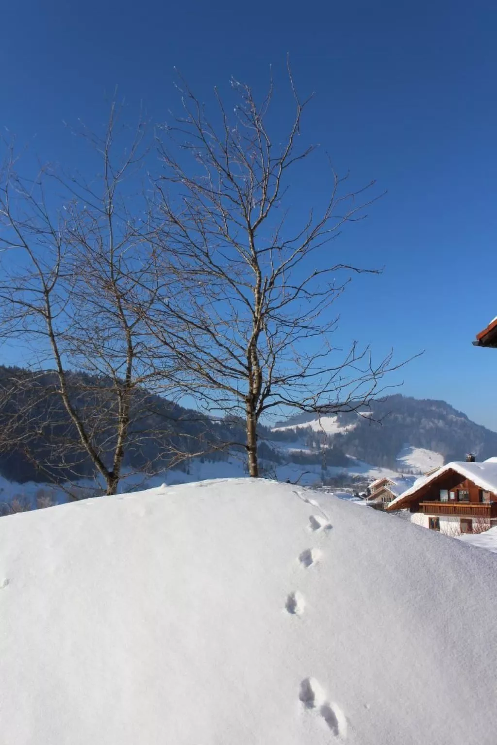 Alpkönigin - Outside