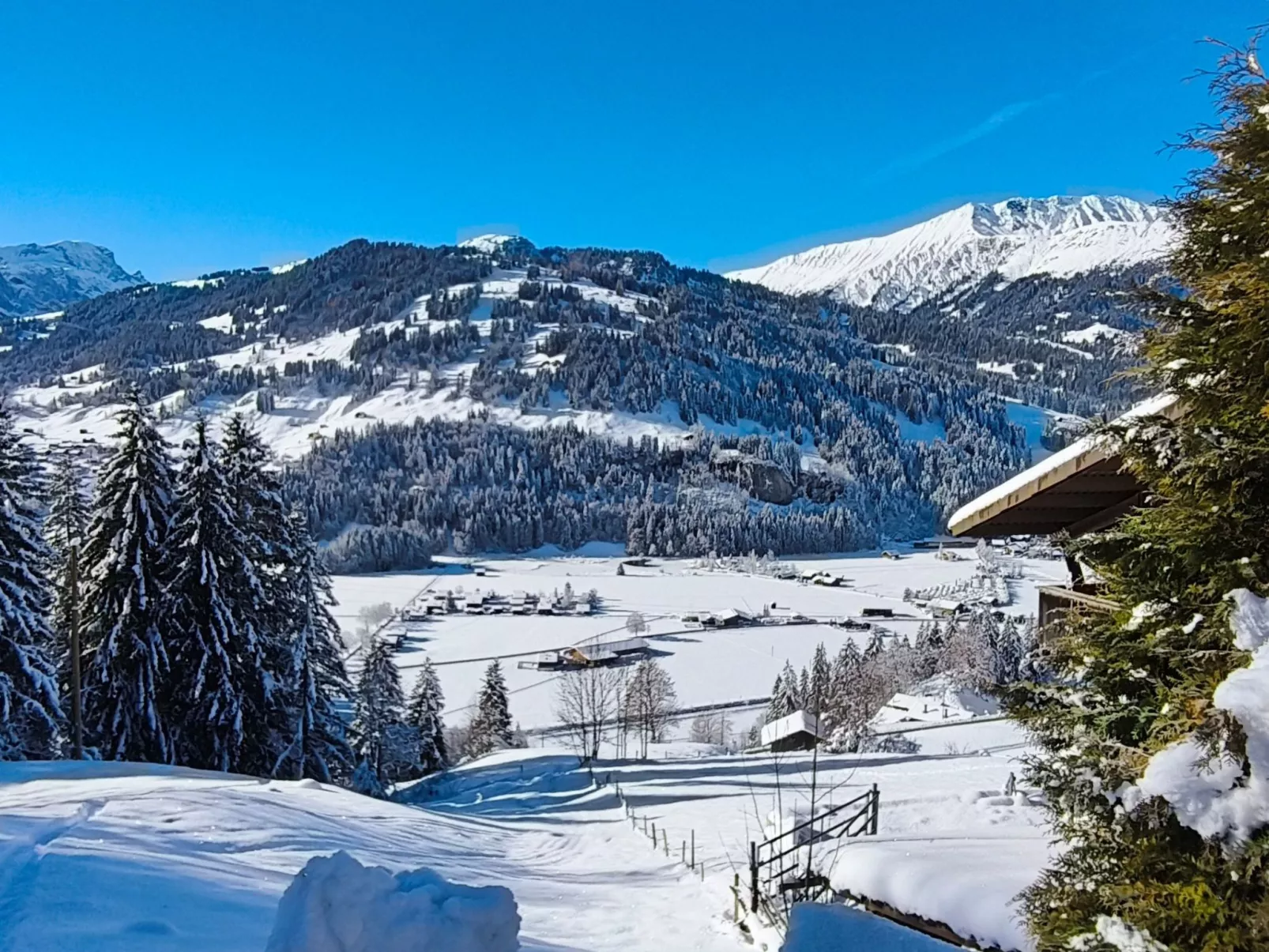 Peter's Sunnyhome-Drinnen