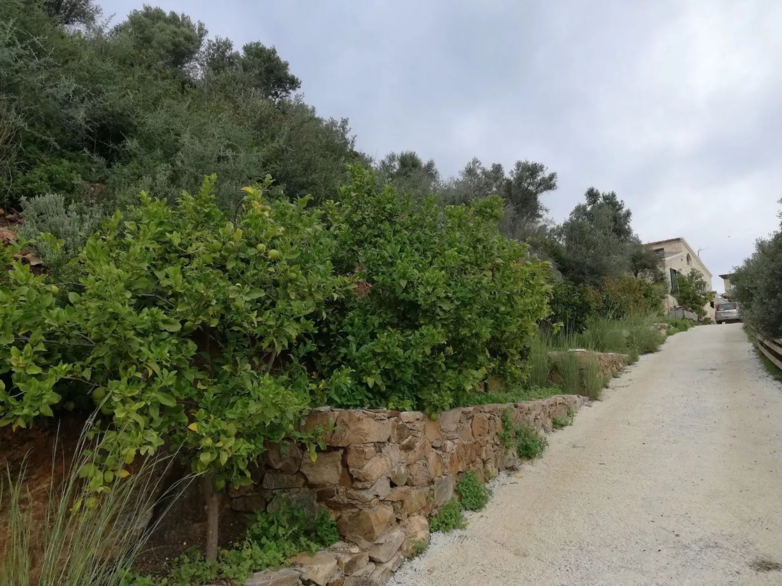 BIO-Energie-Villa Antonis-Drinnen