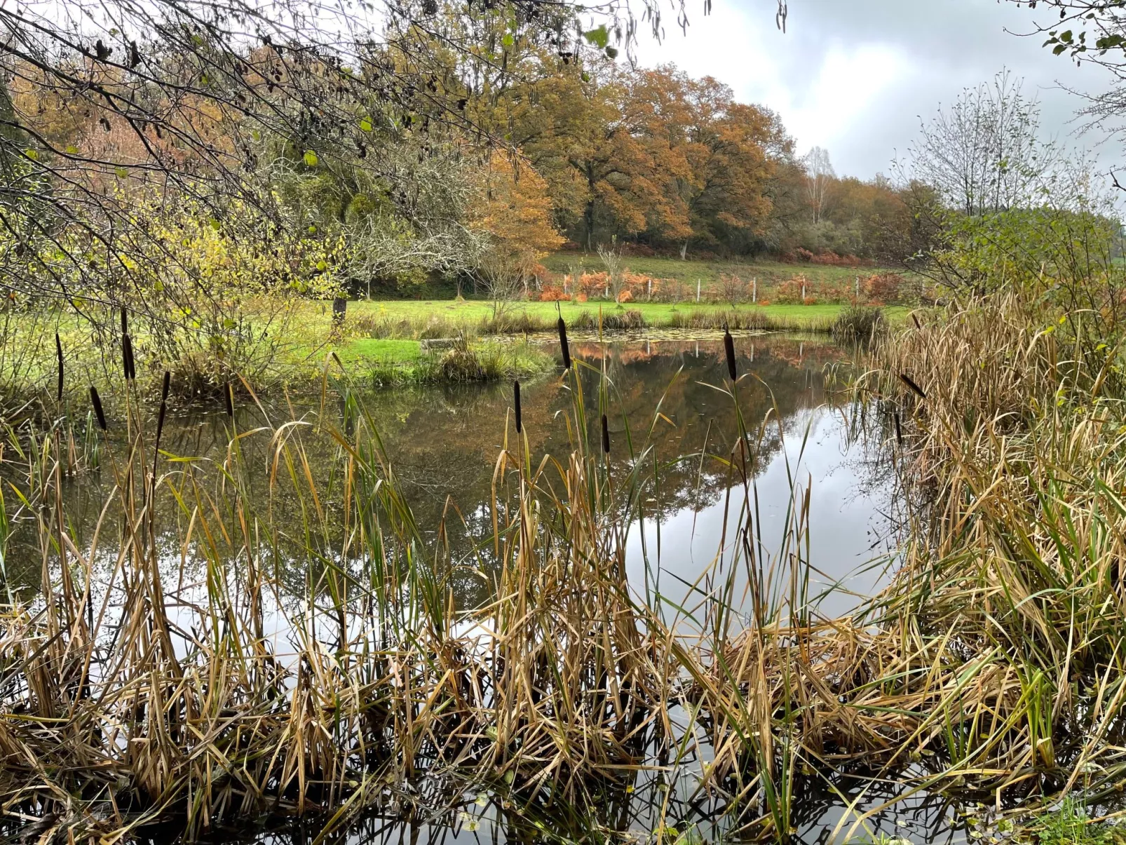 Für 6 Pers. mit eigenem Teich-Inside