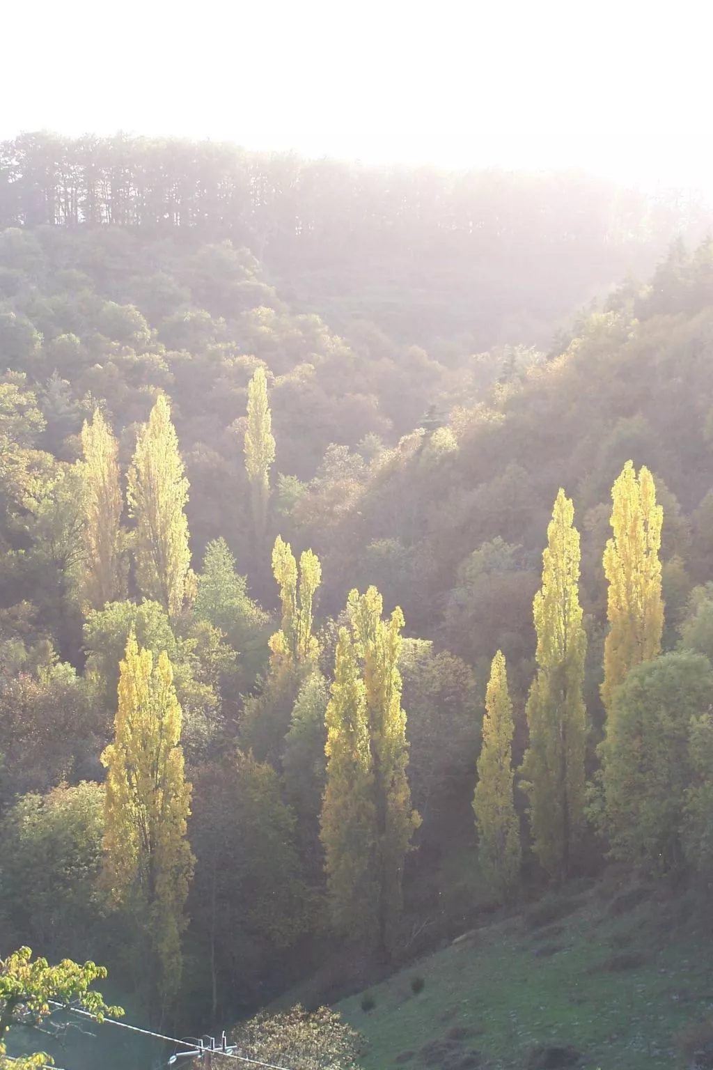 Gîte de Chapelèche Les Genêts-Inside