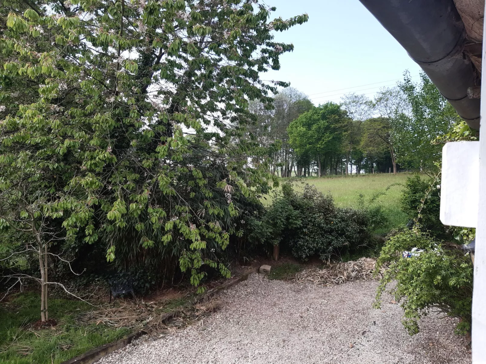 Finca "Motje" mit Aussicht-Draußen