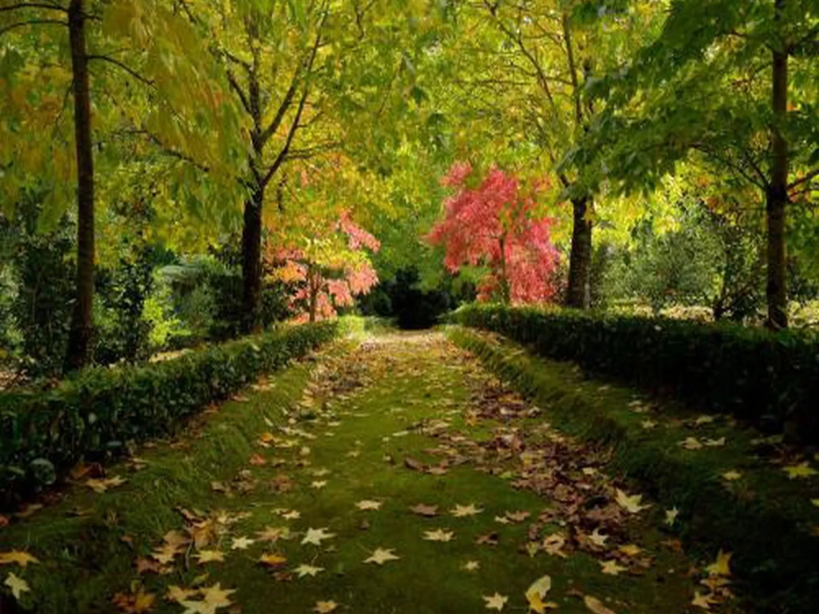 Haus der Stille-Dehors