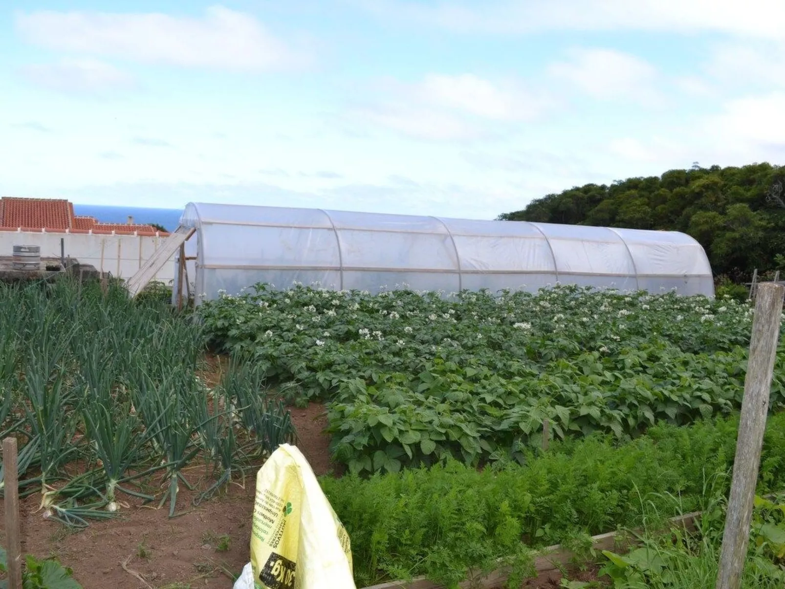 Das Haus der Weinkellerei-Draußen