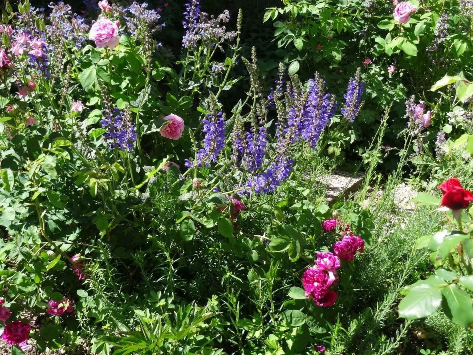 Bévau: Frankreich erleben mit Bio-Frühstück und täglichem Putz-Service-Dehors