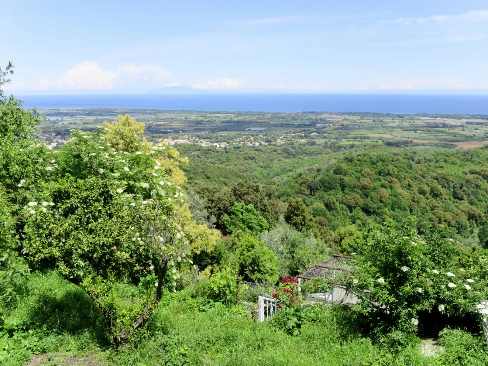 Weingut Punta della Guardia Panorama von Macchia und Meer-Umgebung