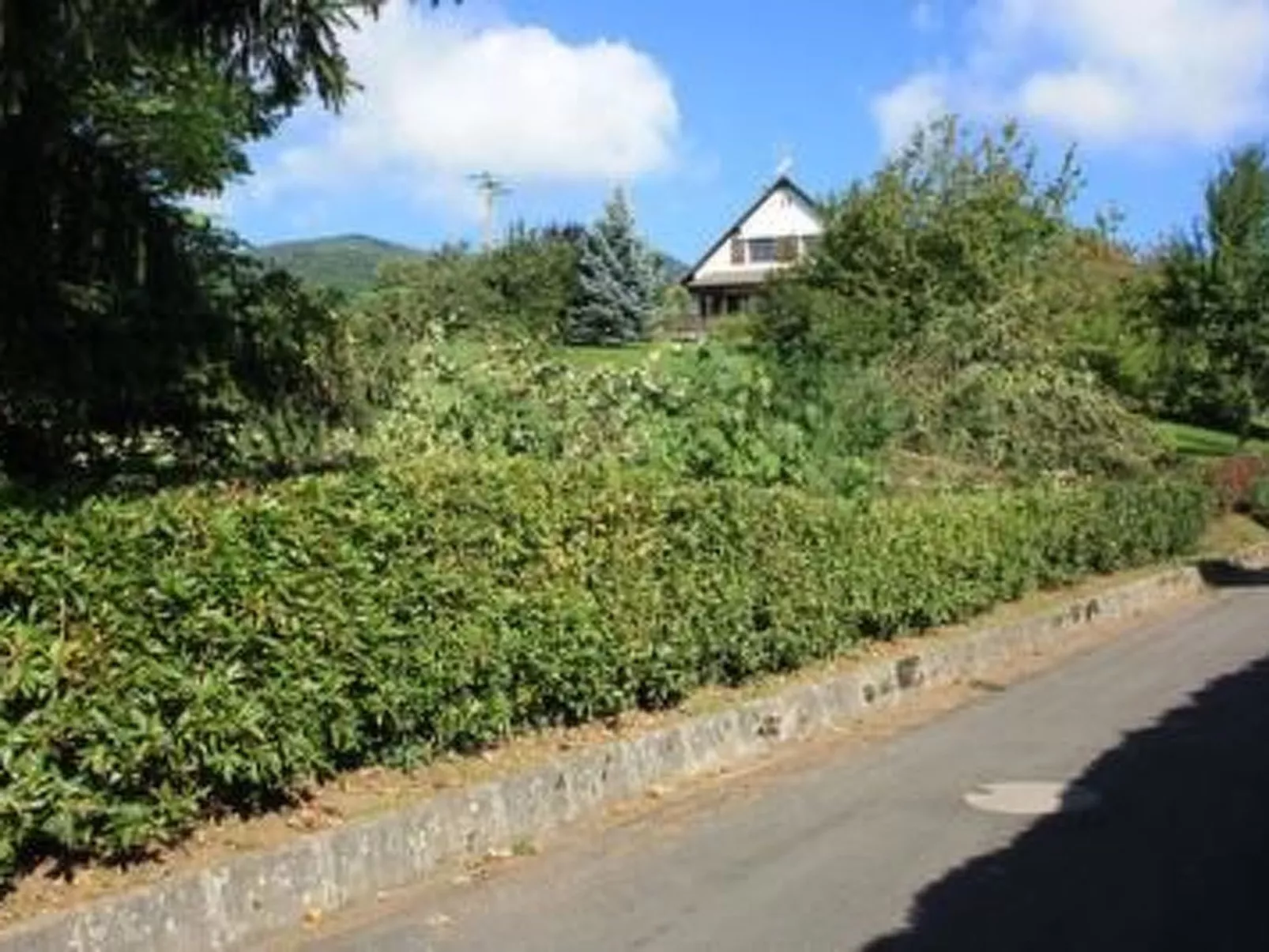  Bellevue mit Große Garten-Inside