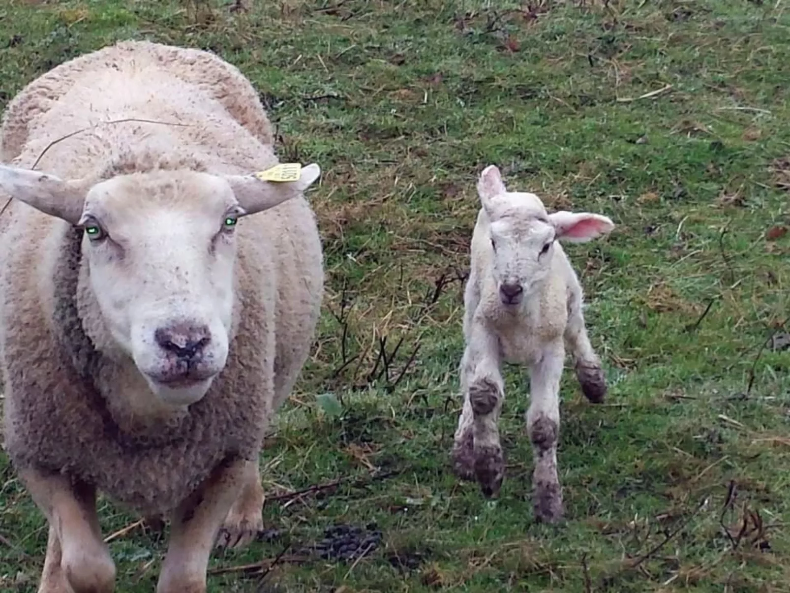 Domäne "Domaine de Ravel"-Dedans