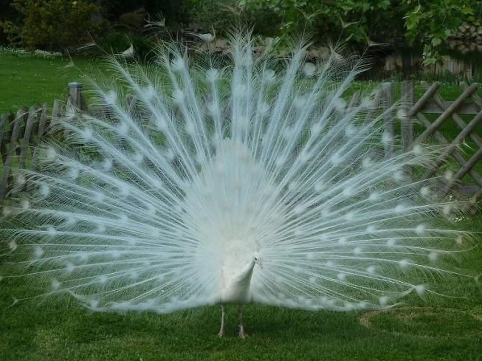 "Au Bas Chalonge Gîte"-Dehors