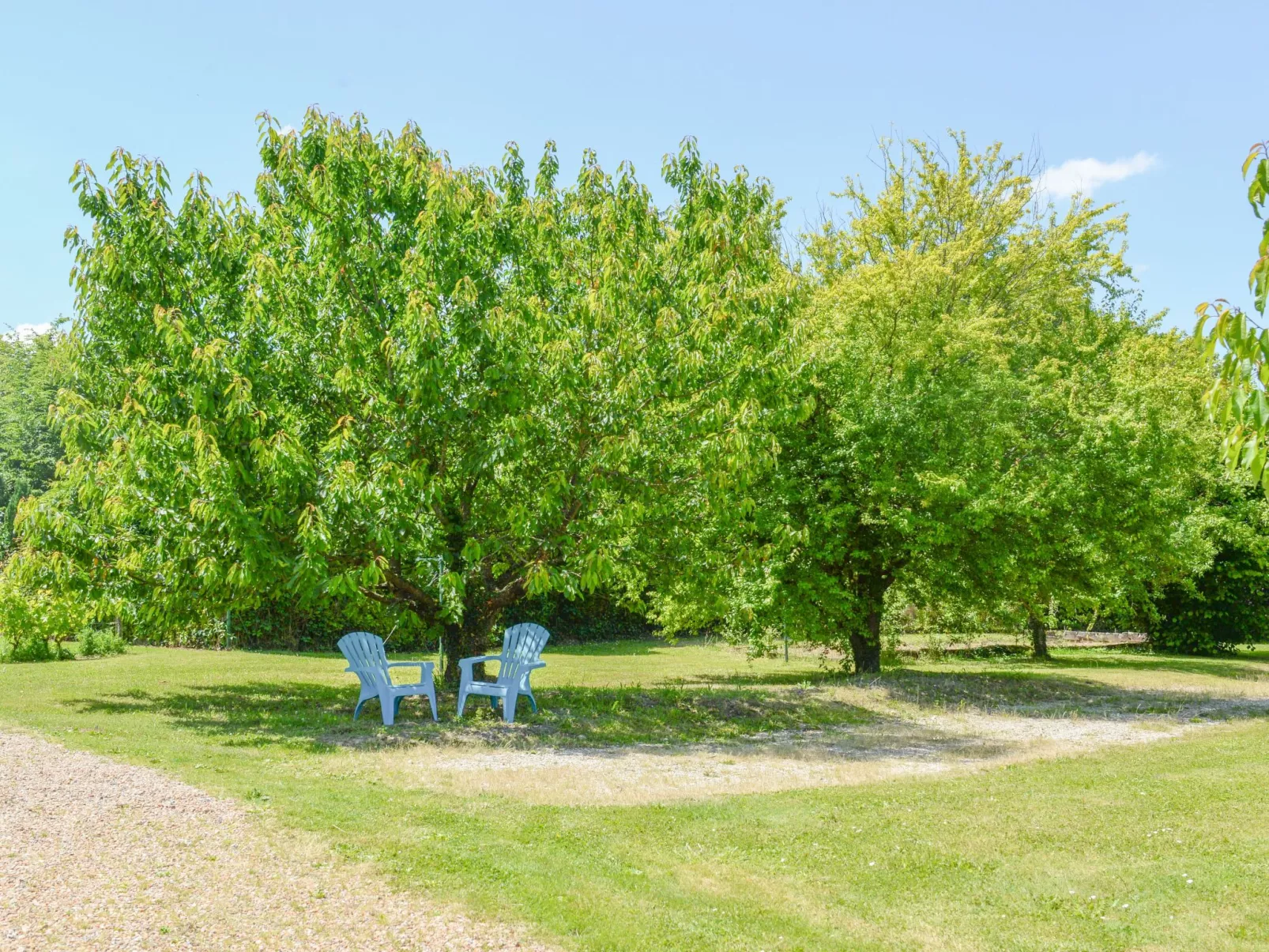 Der Ruf der freien Zone-Draußen