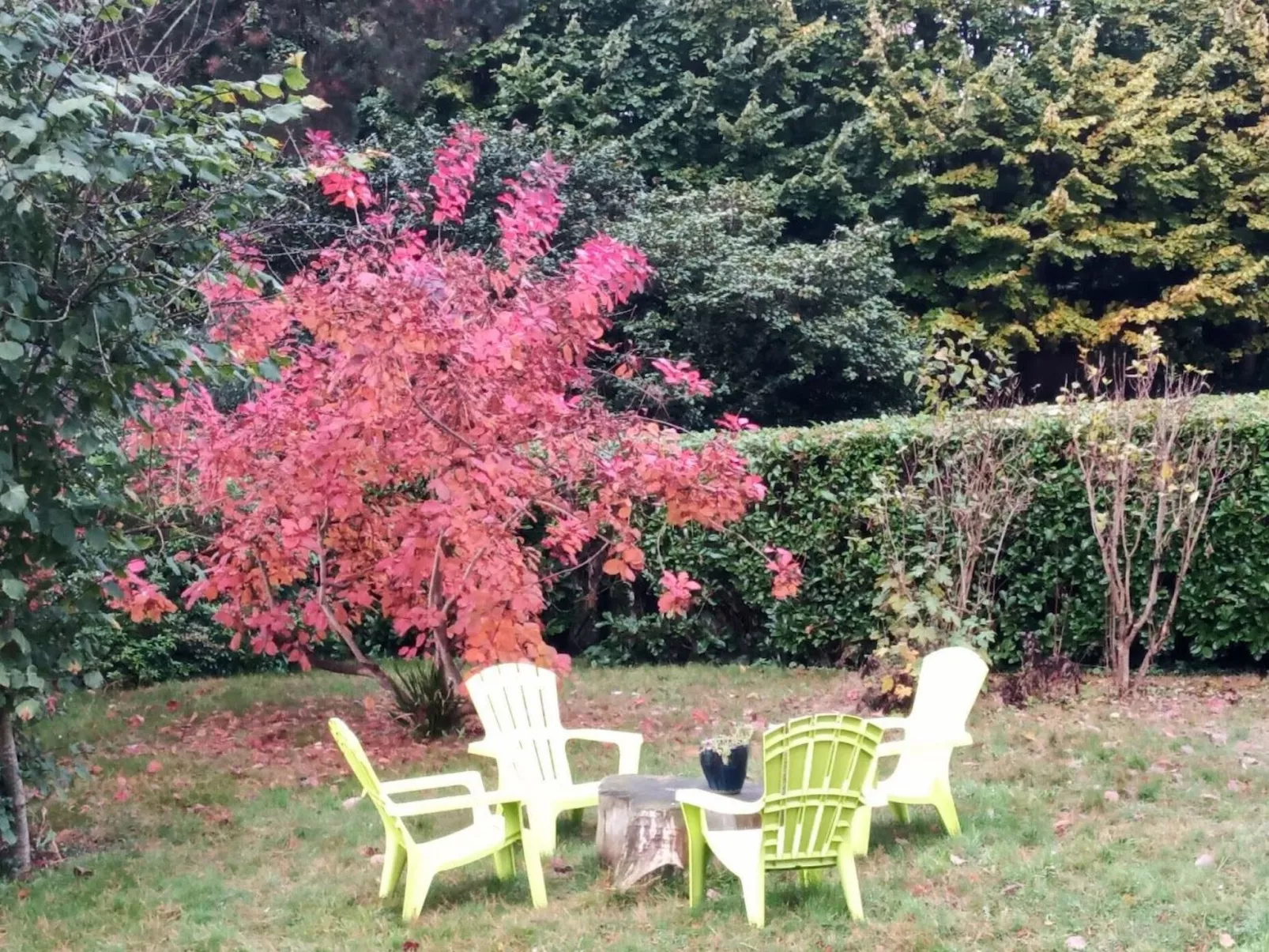Villa La Côte du Chat -Familienhaus Bretagne-Dedans