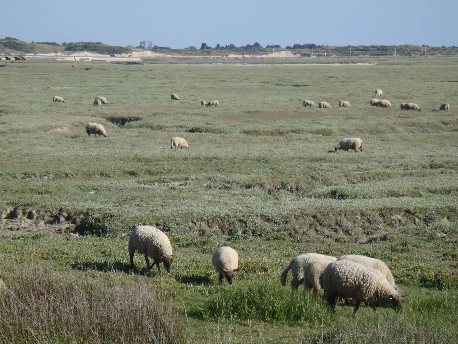 Haus Havre in Portbail-Drinnen