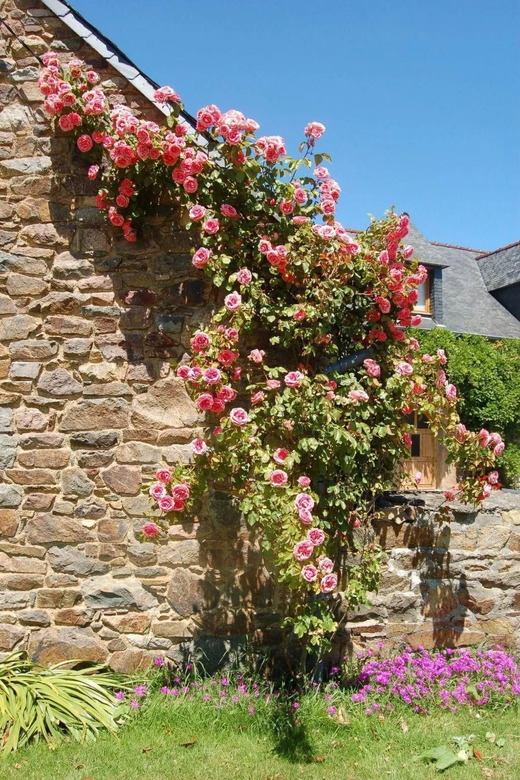 Wunderschönes Haus mit Garten in Lézardrieux-Inside