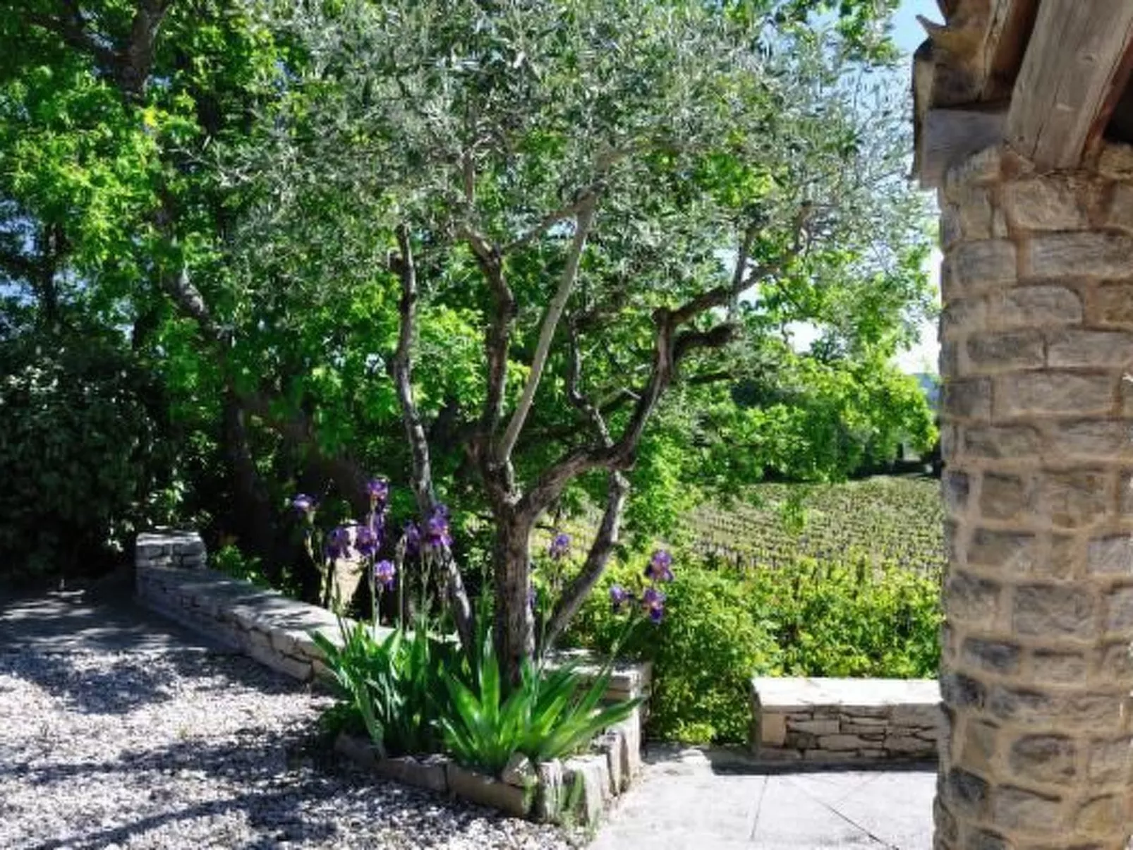 "Haus der Olivenbäume"-Inside
