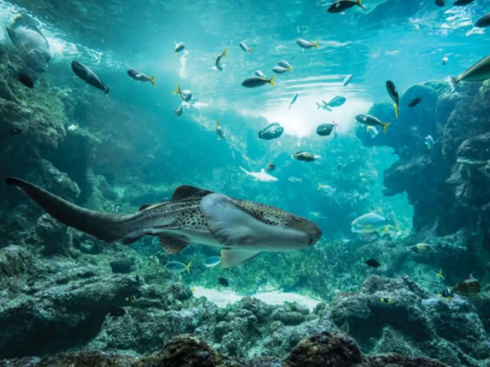 Kleine Wohnung in großem Familienhaus-Dehors