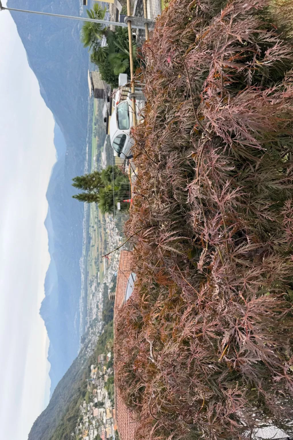 CASA GIALLA-Draußen