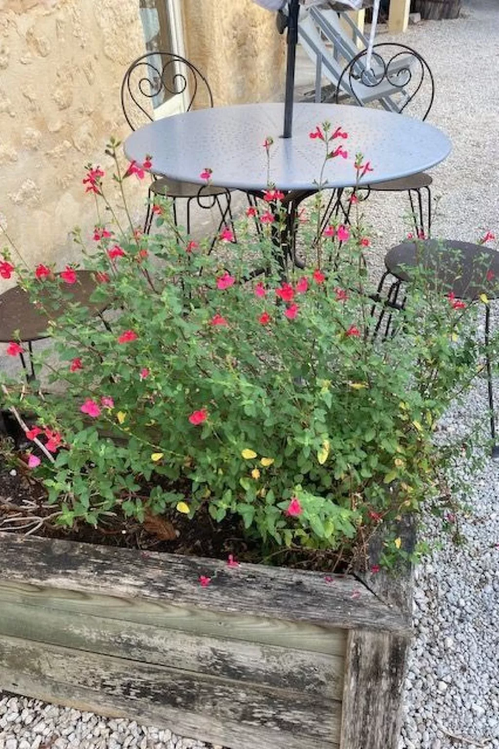 Les Milandes in Sainte-Mondane-Inside