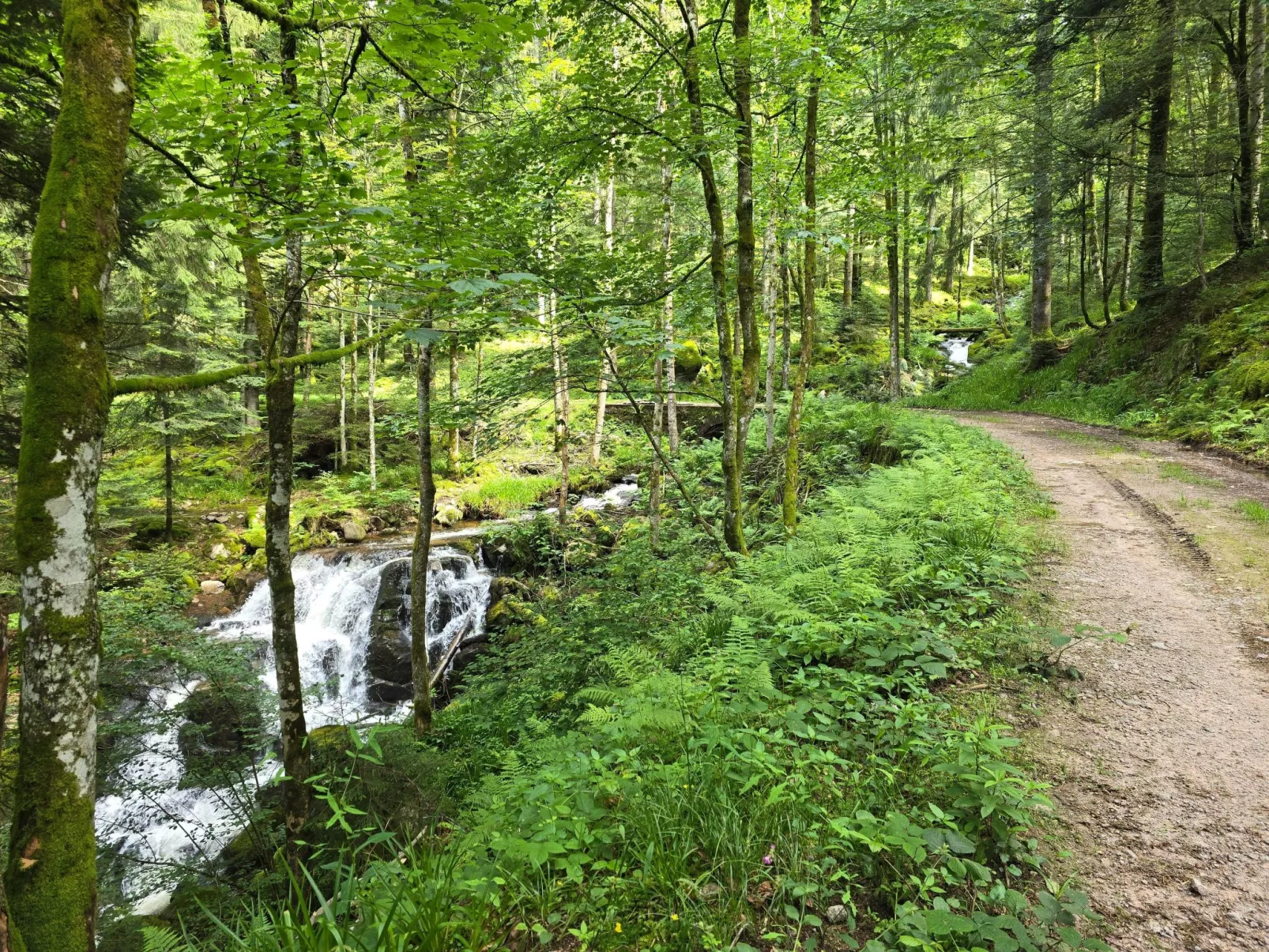Le Chalet Sous Les Sapins, mit Swimmingpool, Sauna-Dedans