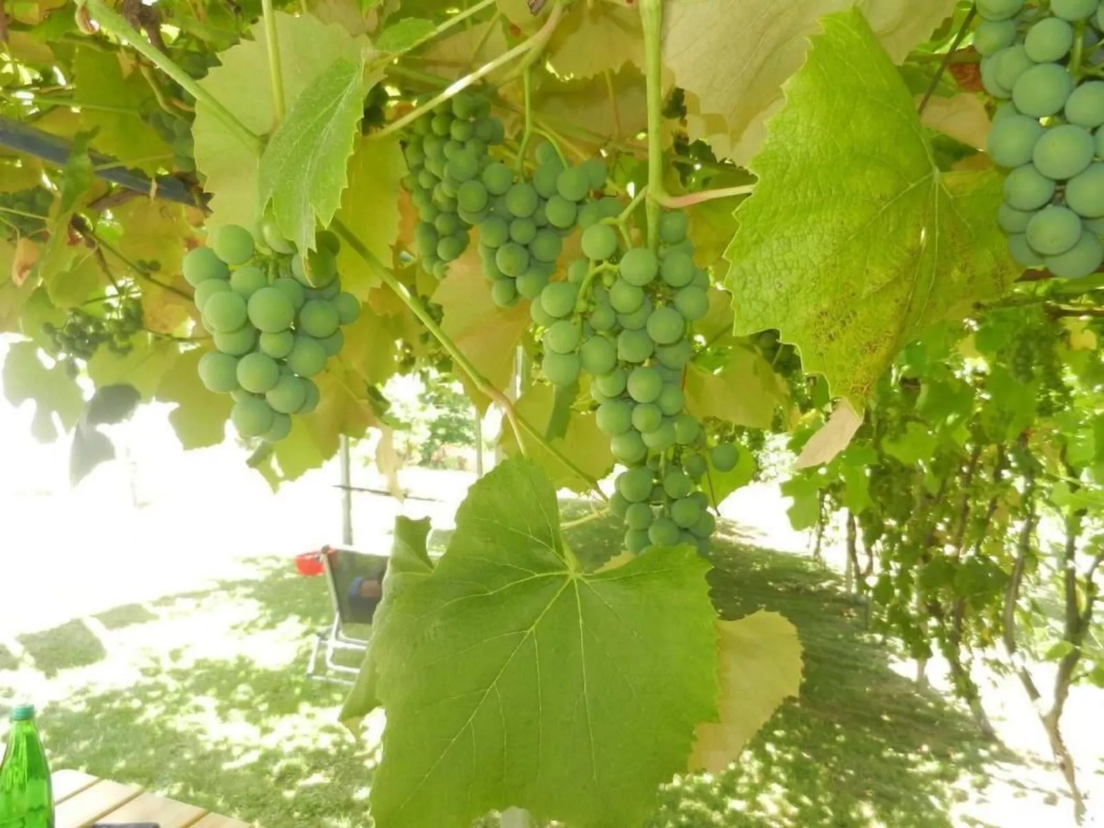 Urlaub für die Seele - Ferienhaus mit Sauna-Image-tags.info