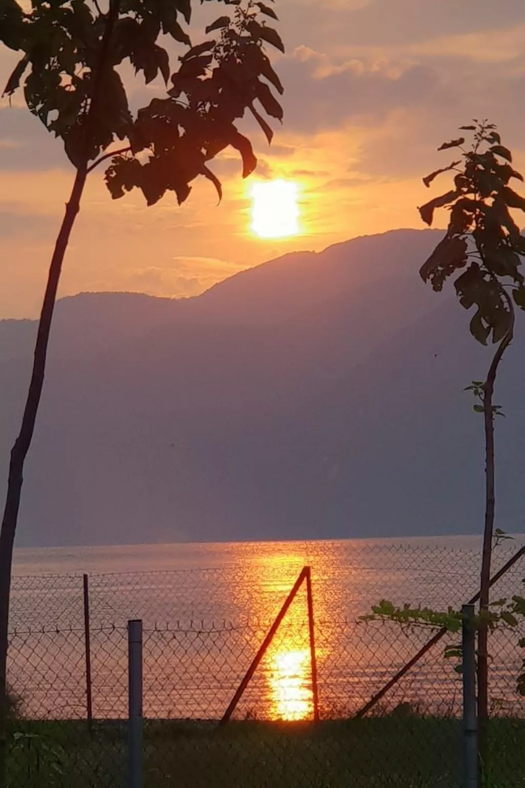 Tanjas Paradise-Inside