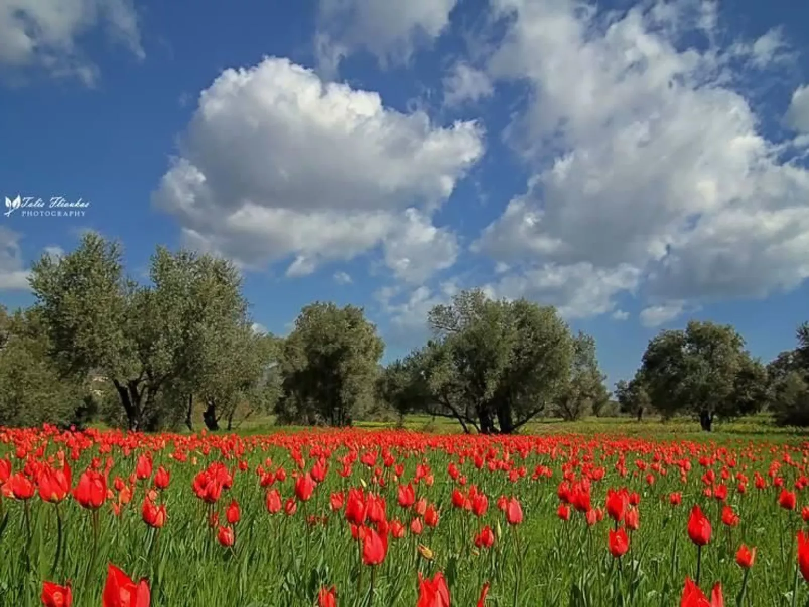 Charmante Villa mit Meerblick - 300m. vom Strand-Inside