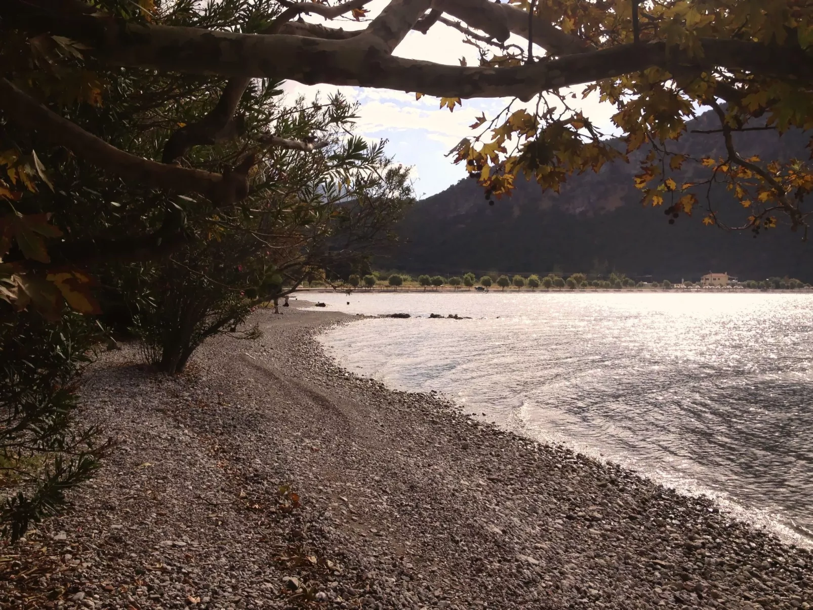 Spiti Louloudia-Dehors