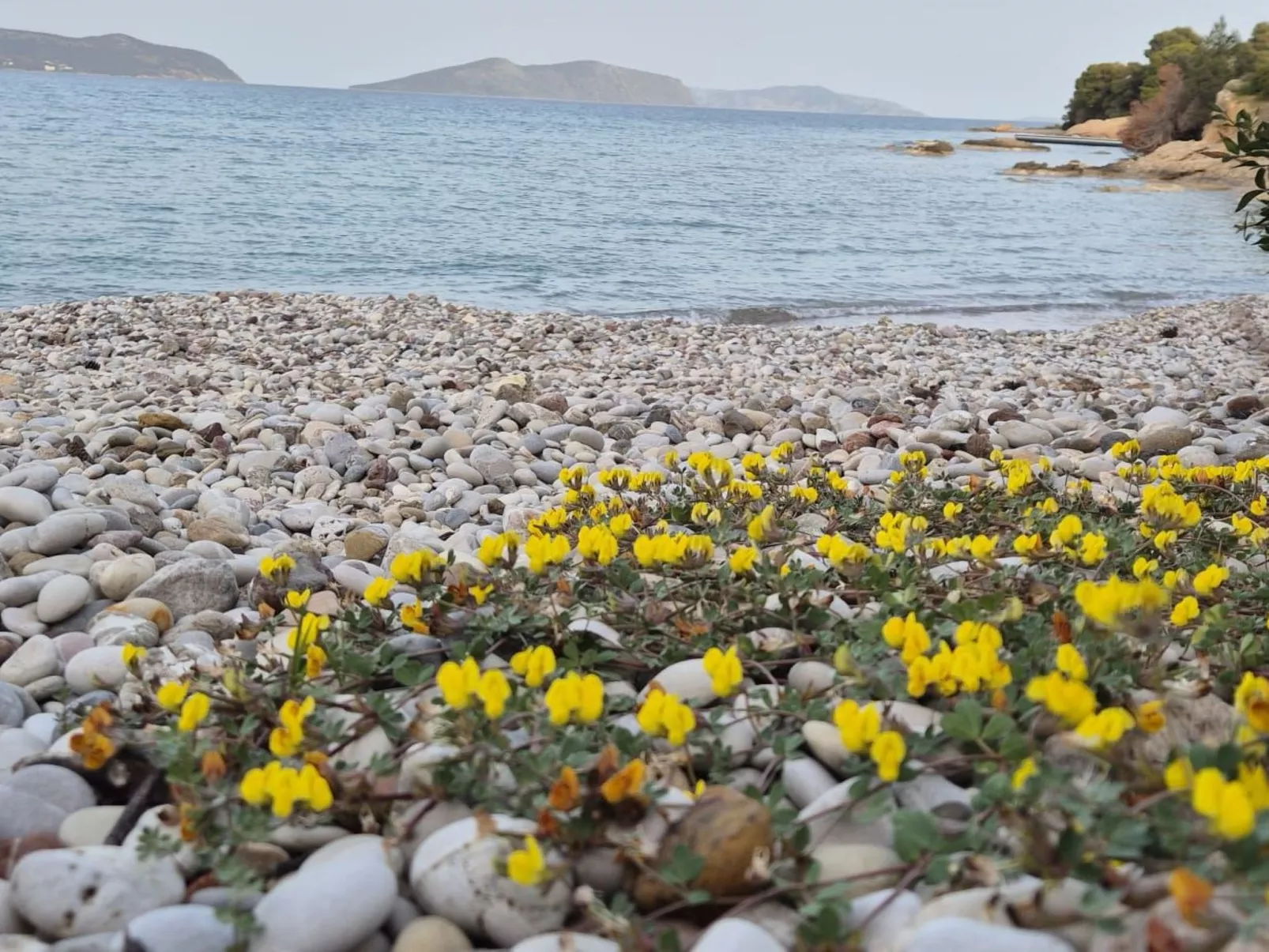 "Villa Newlands" - Pool, Meer und Inseln-Drinnen