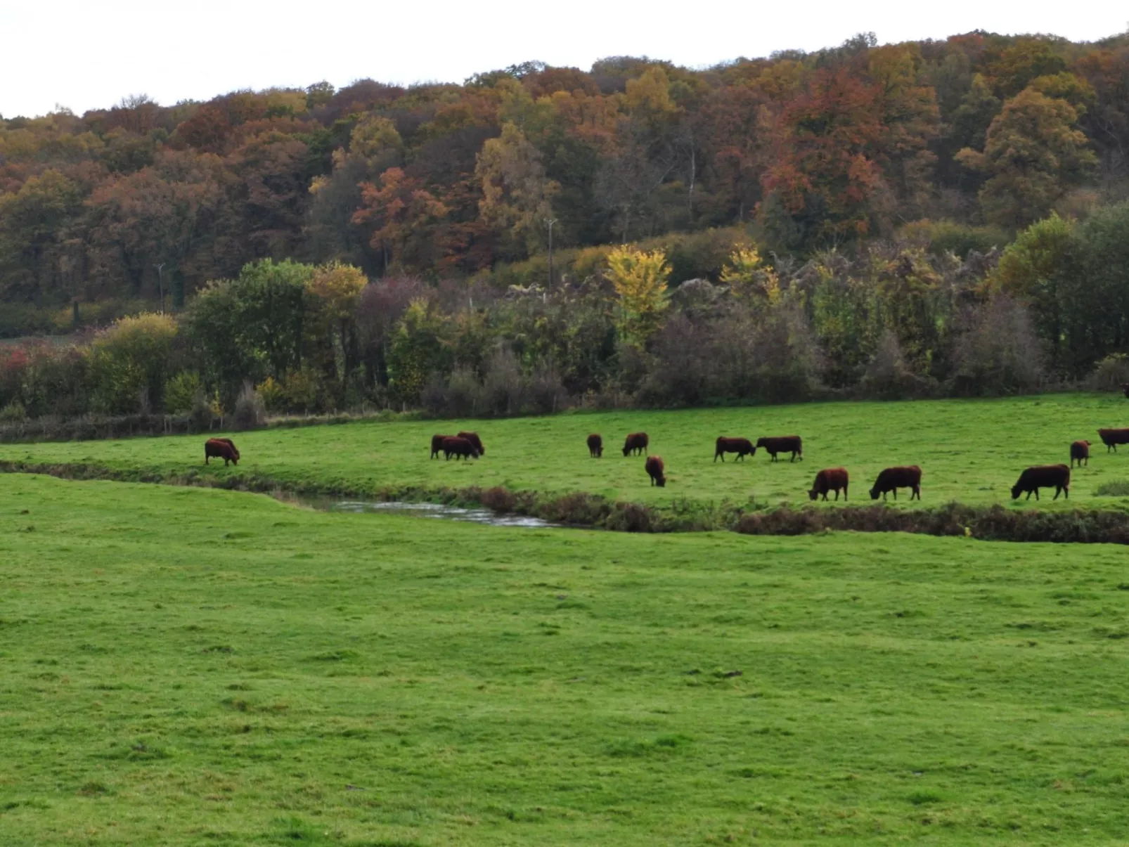 Für acht Personen-Image-tags.info