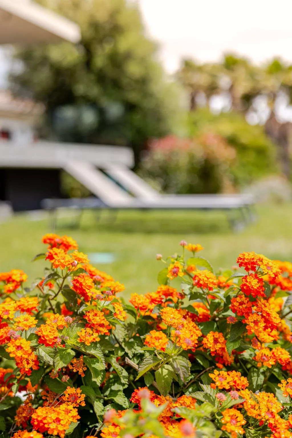 "TwinVilla Silberküste"-Image-tags.info