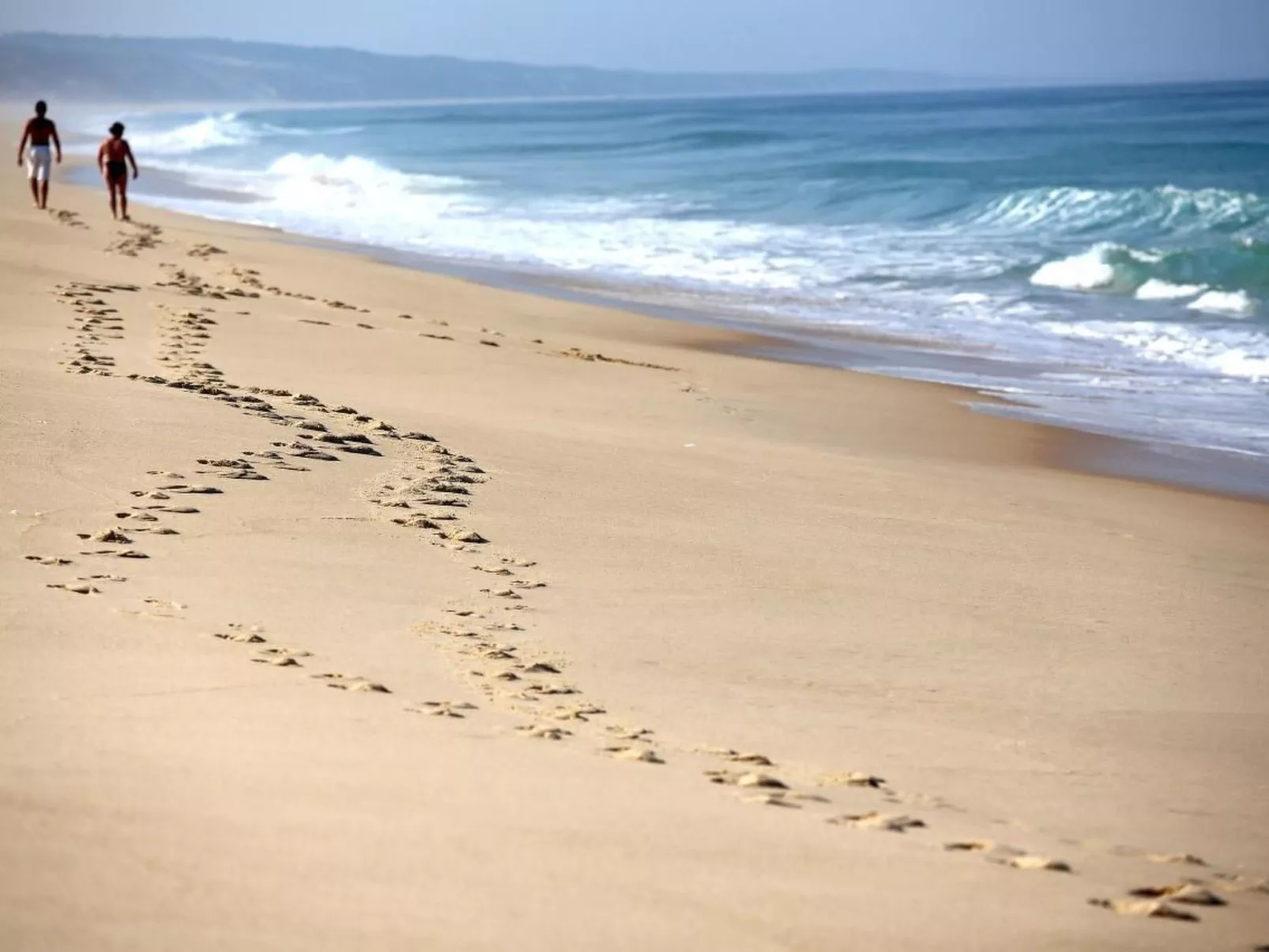 Exklusive Design-Villa in den Dünen, Pool auf dem Dach-Dehors