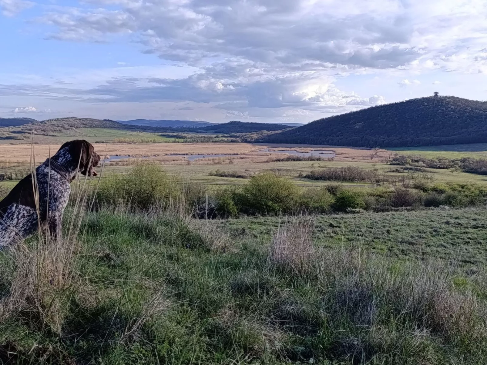 Ferienwohnung-Dedans