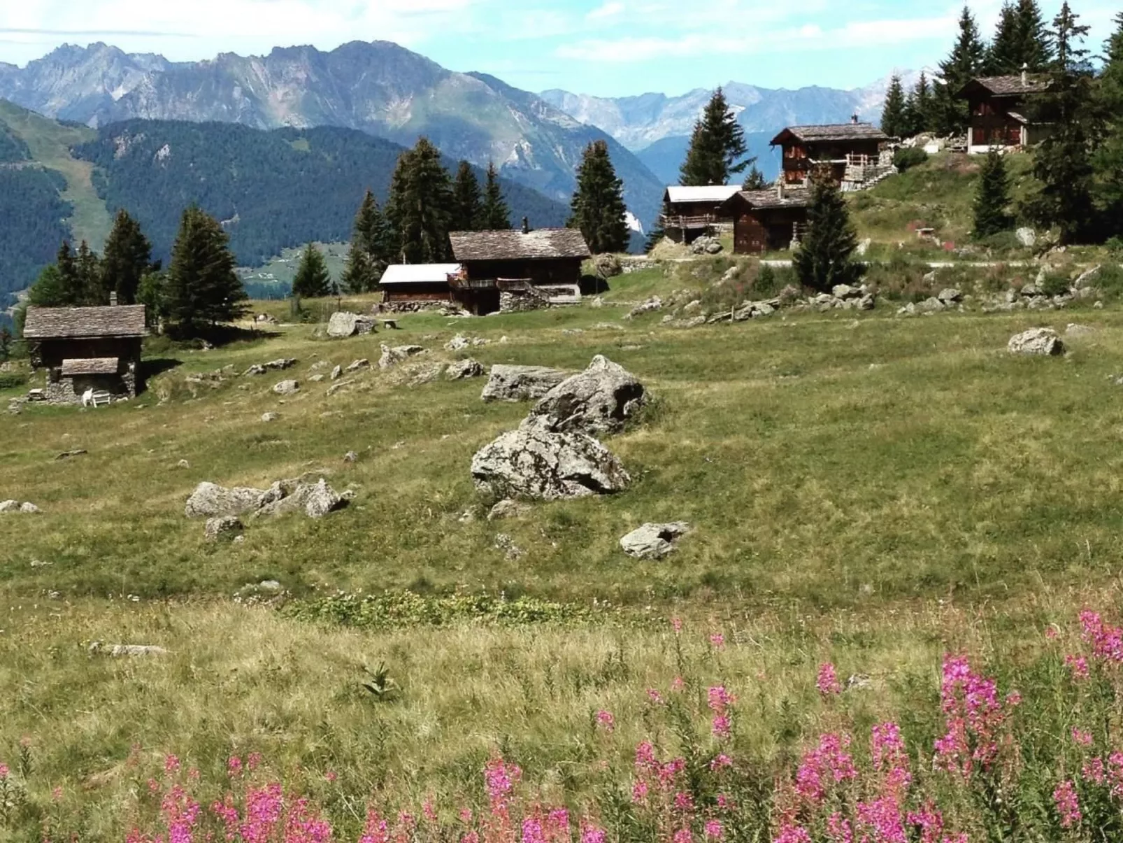 Chalet 3 Zi. in ruhiger Lage, in der Nähe von Verbier-Dehors