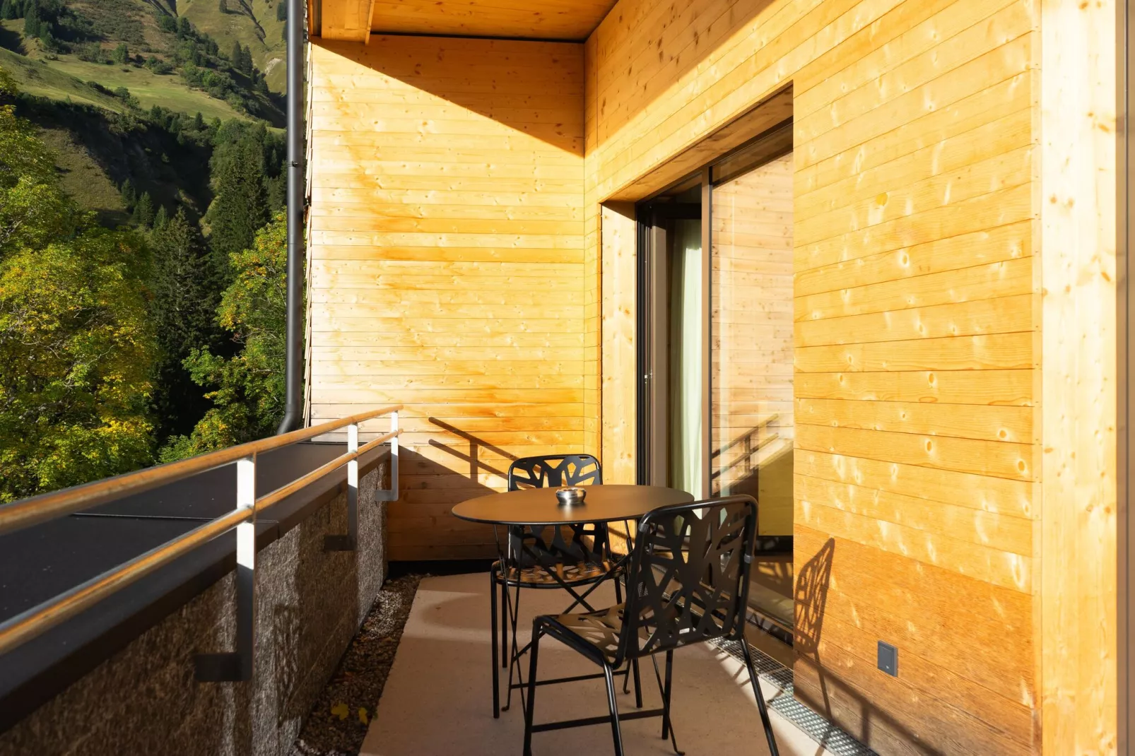 Heimat 1495 Arlberg-Terrace balcony