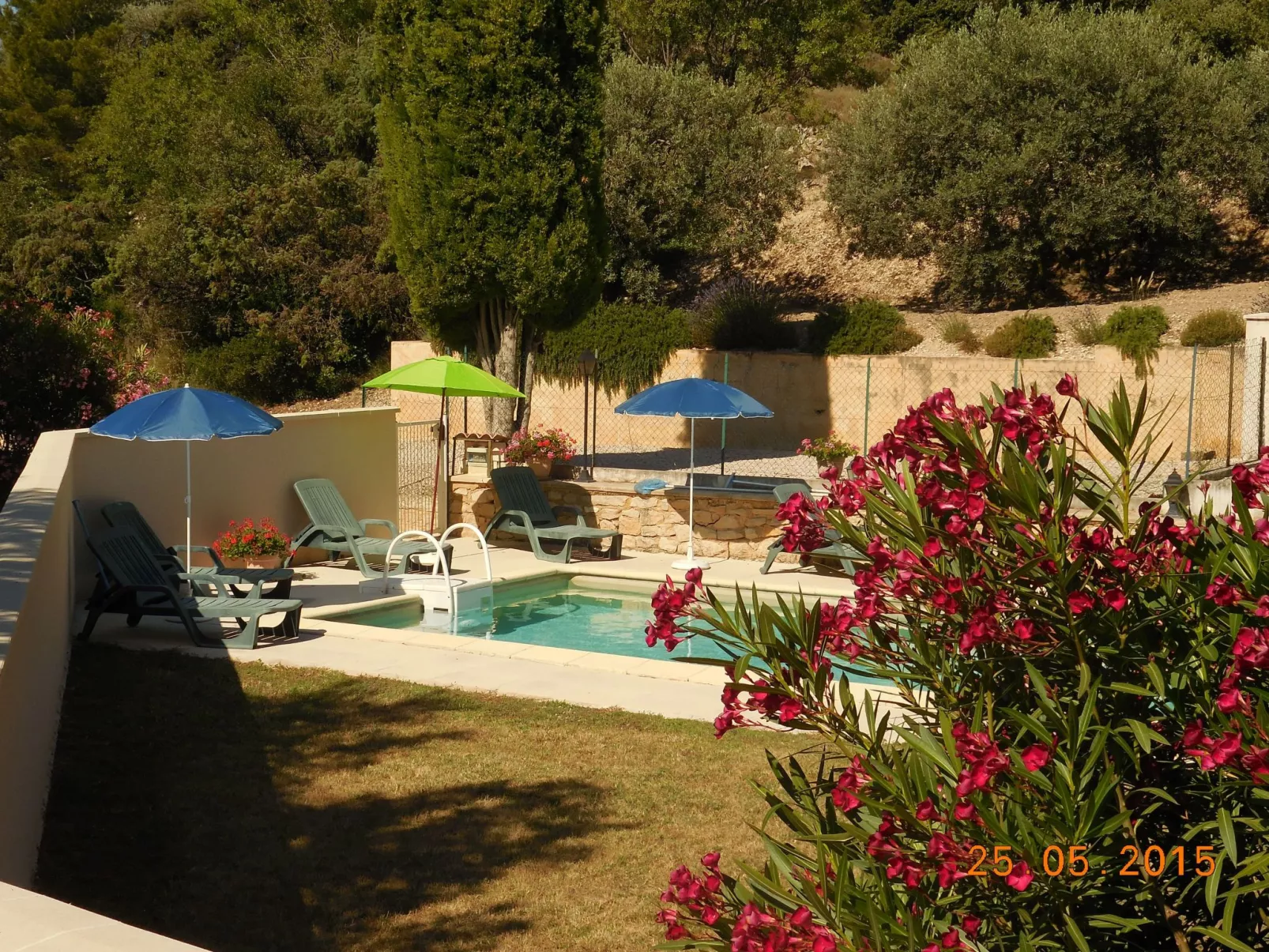 Les Colombes du Ventoux-Image-tags.info