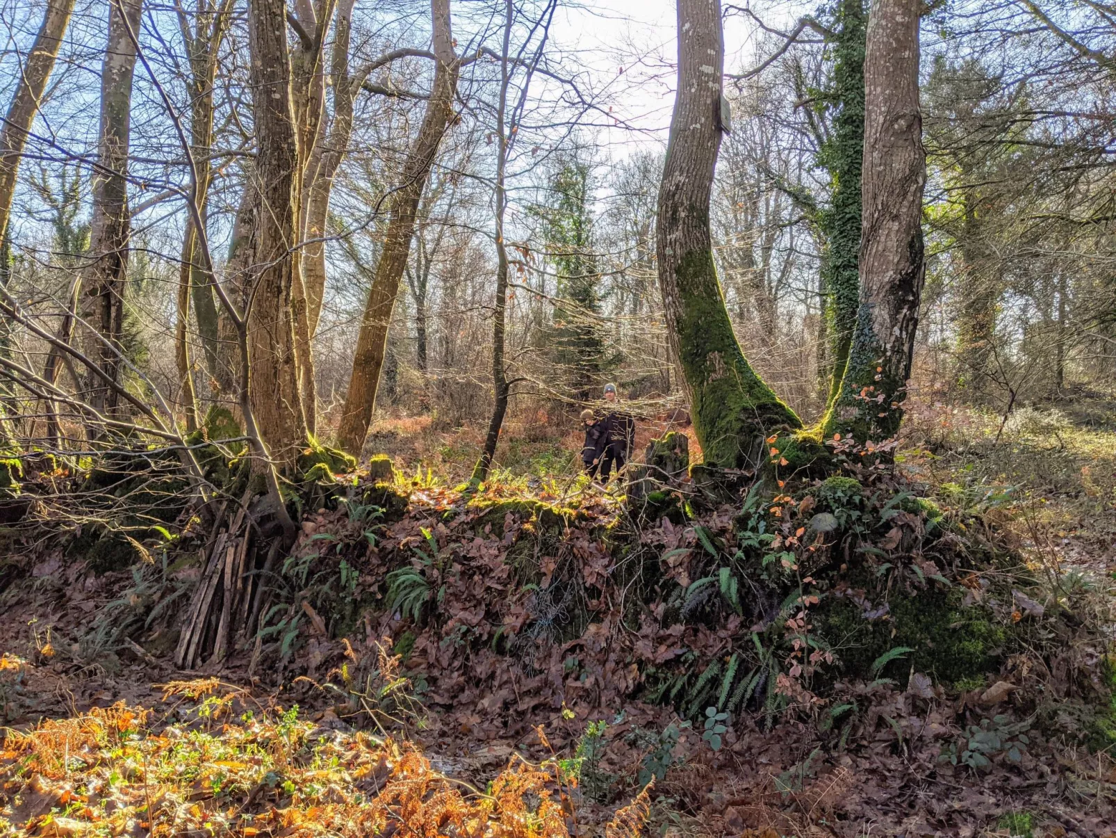 Helles, offenes Ferienhaus, Gemeinschaftspool Hunde-Dehors