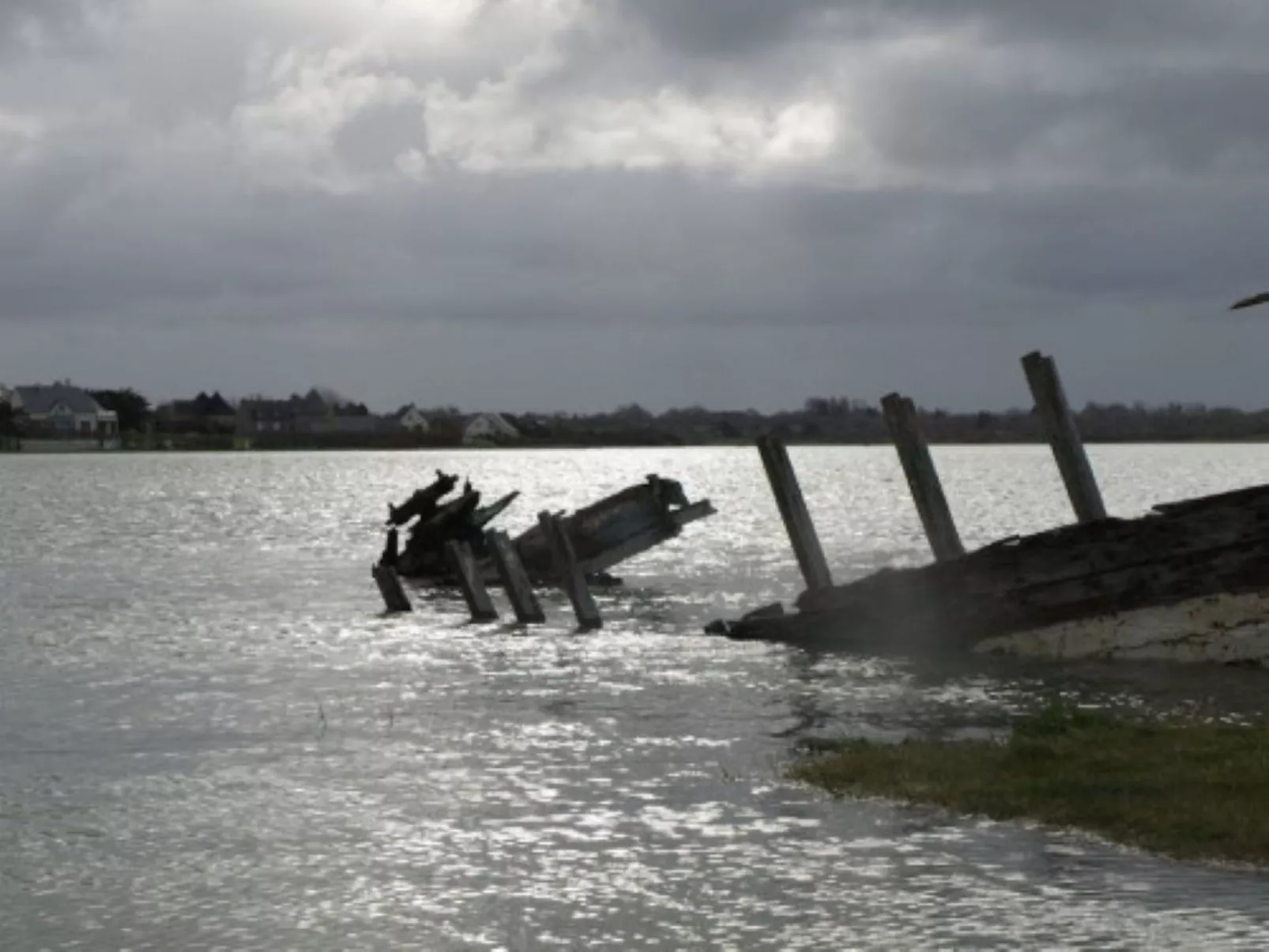Le Bois aux Ecureuils (Eichhörnchenwald)-Drinnen