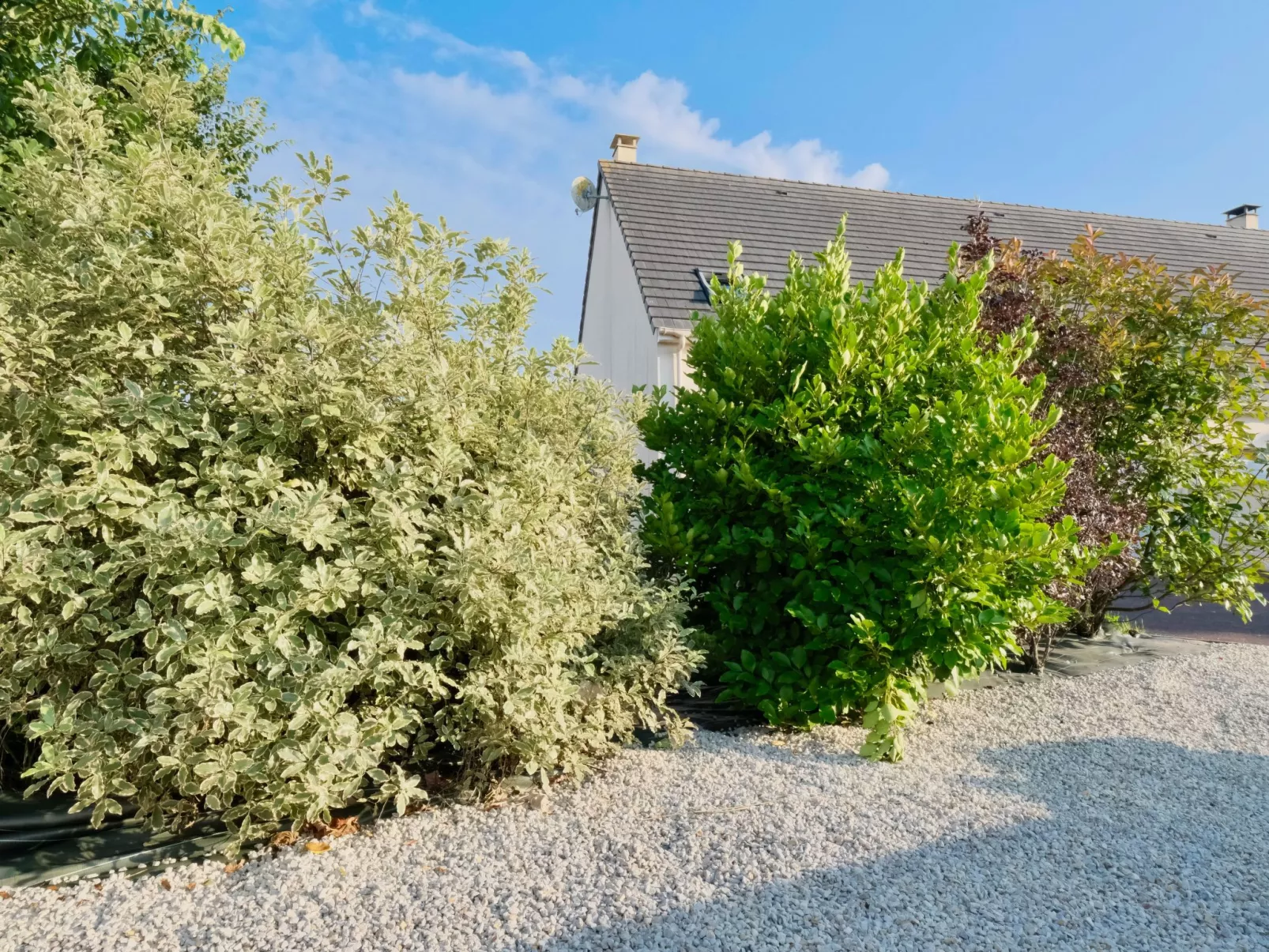 Haus "L'Oyat" mit Garten und Plancha-Image-tags.info