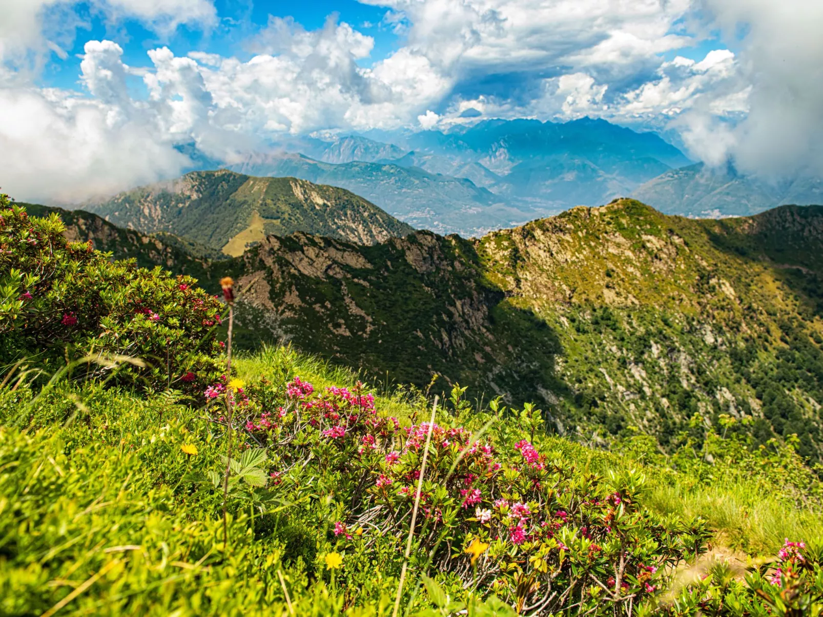 Wohlfühlort-Outside