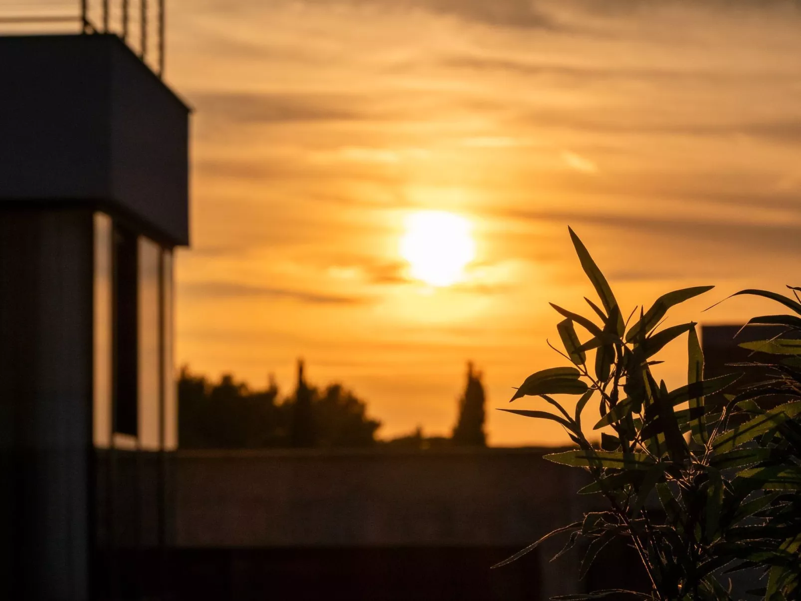 Urlaub Luxusvilla "Villa Supreme Pasman" neu-Drinnen