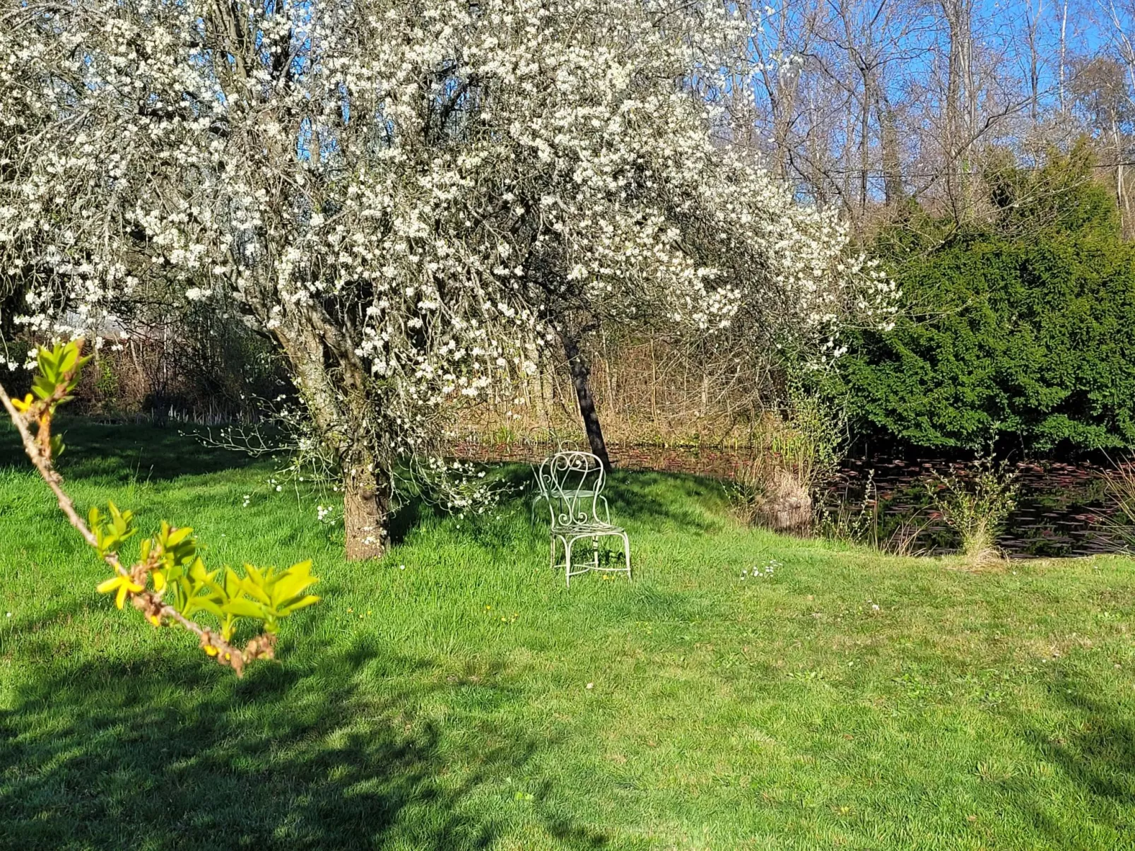 Renoviertes Ferienhaus in der Nähe von Cabourg-Deauville-Lisieux-Outside