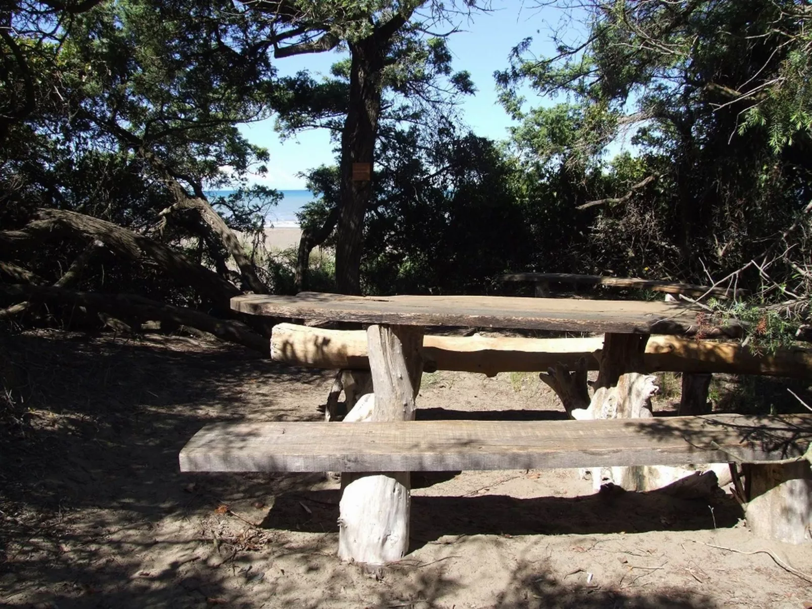 Wohnung 'Windows' in Strandnähe-Dehors