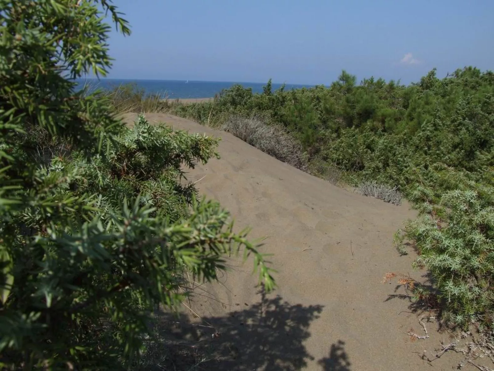 'Azalea' mit Terrasse-Outside