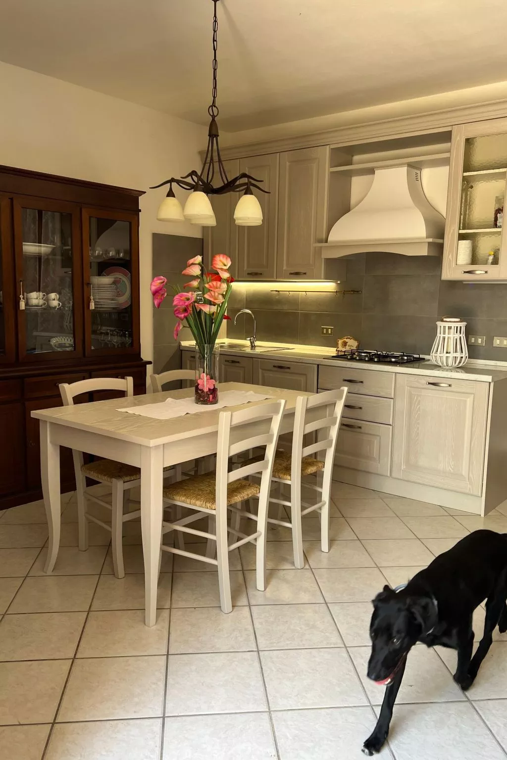 Wohnung "Red Fox" mit privatem Garten-Drinnen