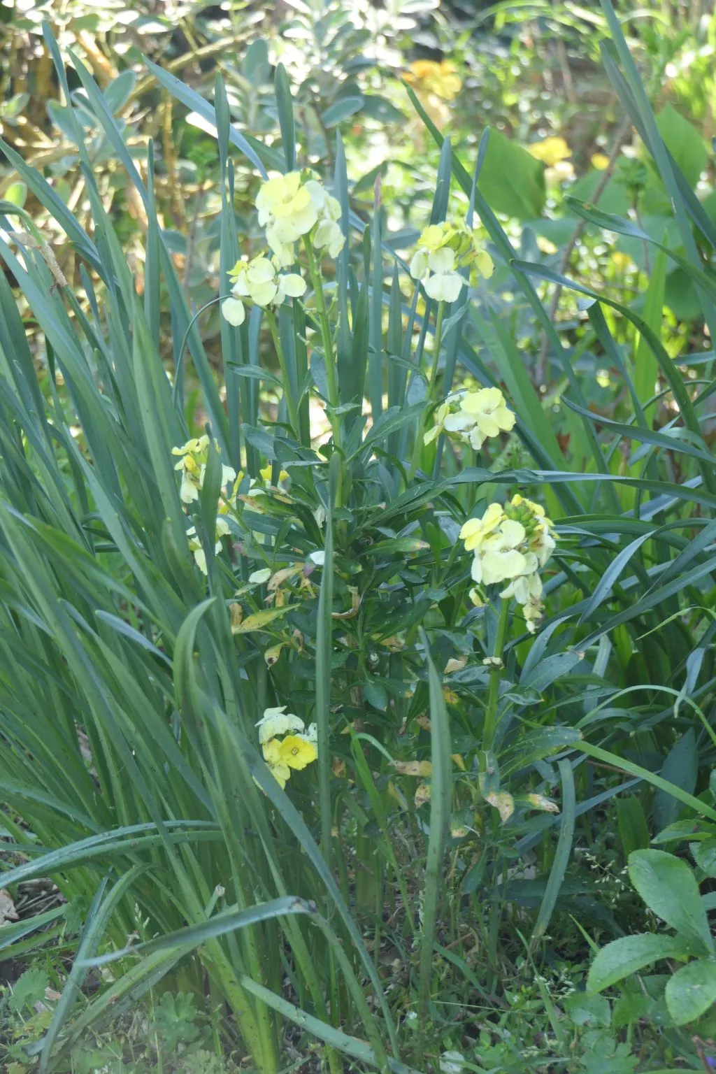 "8883" in Strandnähe-Drinnen