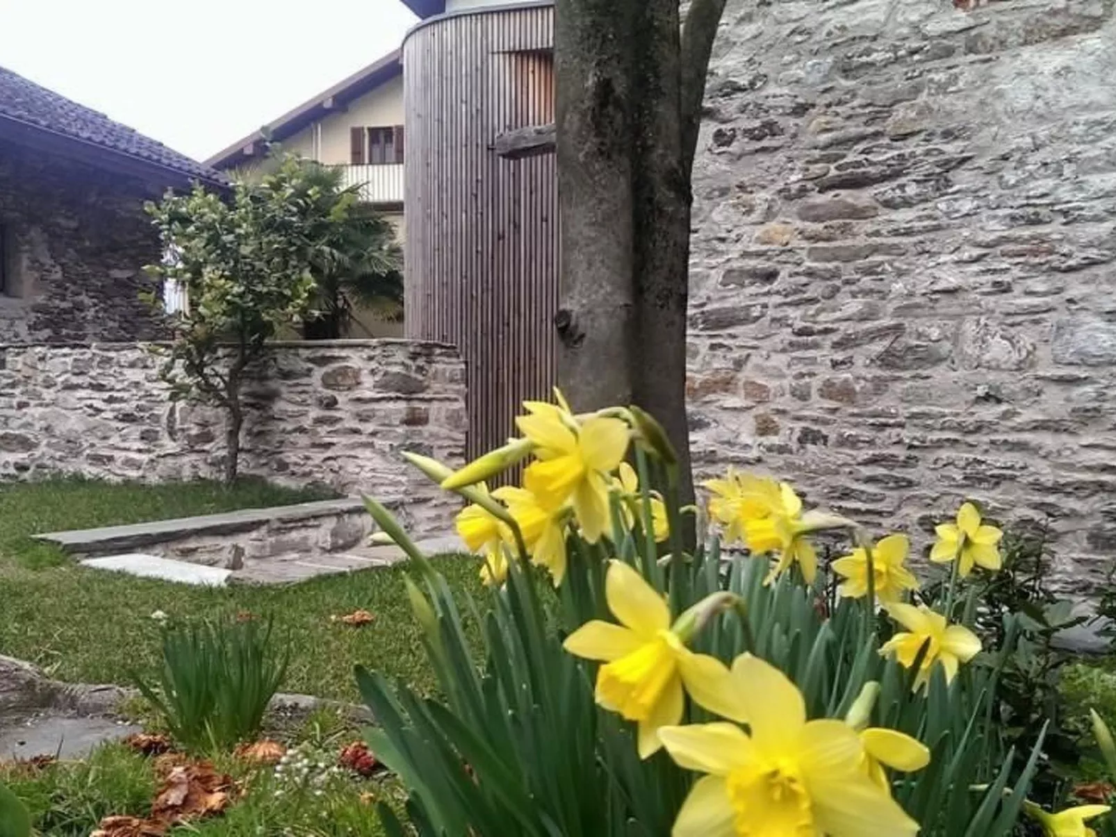Corte delle Camelie - Wohnung im Erdgeschoss-Drinnen