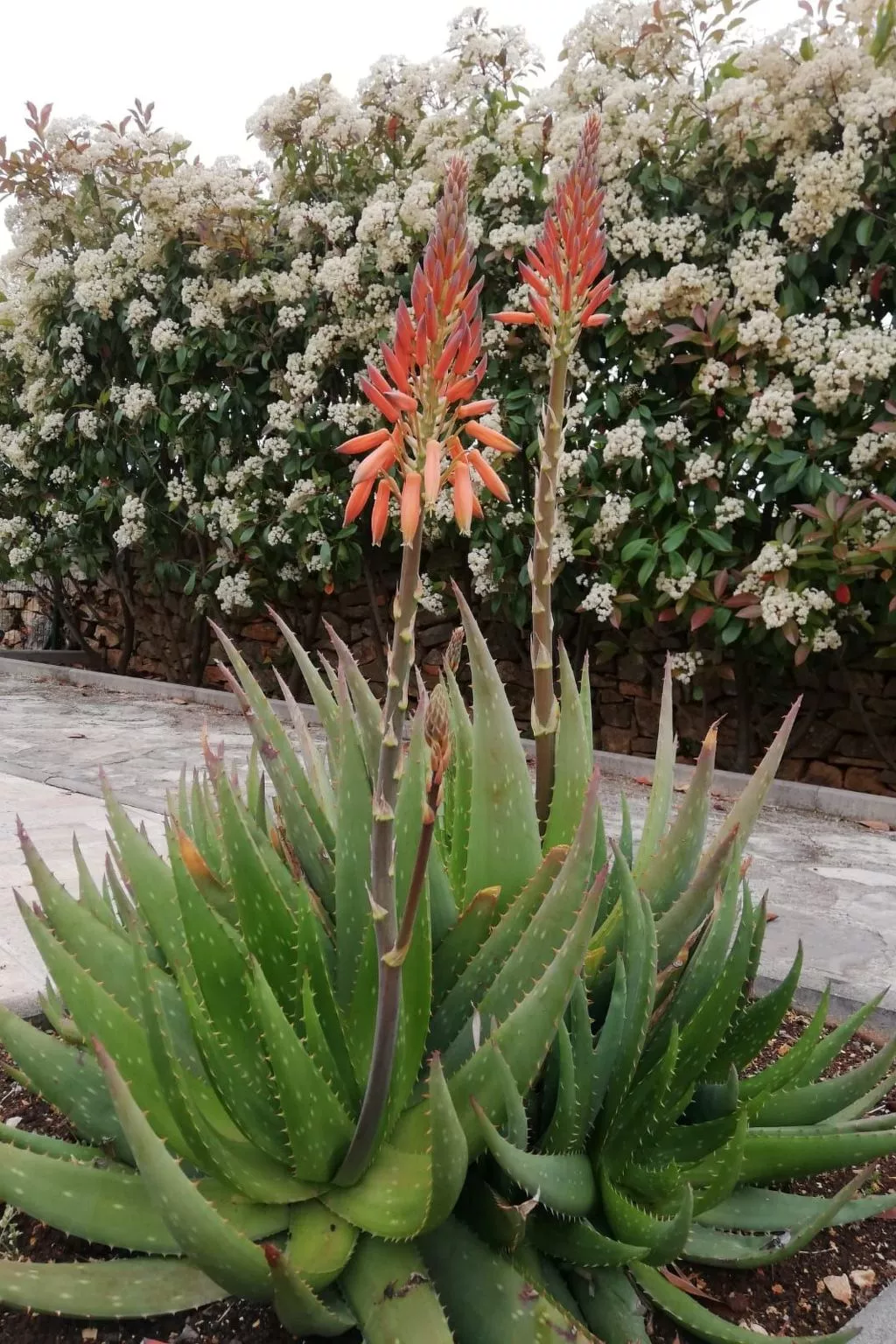 Haus Mirelia für zwei Personen mit Garten-Outside