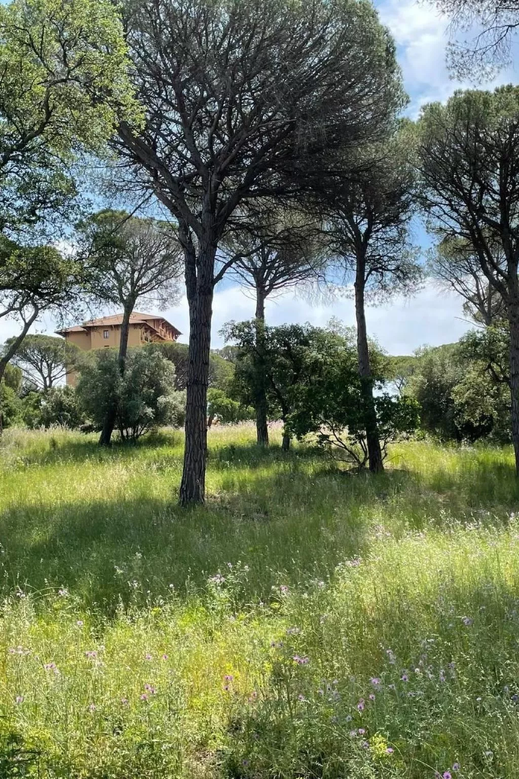 Grande Maisonette-Inside